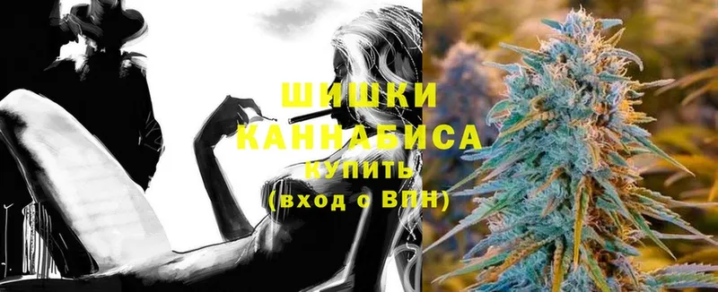 Шишки марихуана OG Kush  что такое   Карасук 